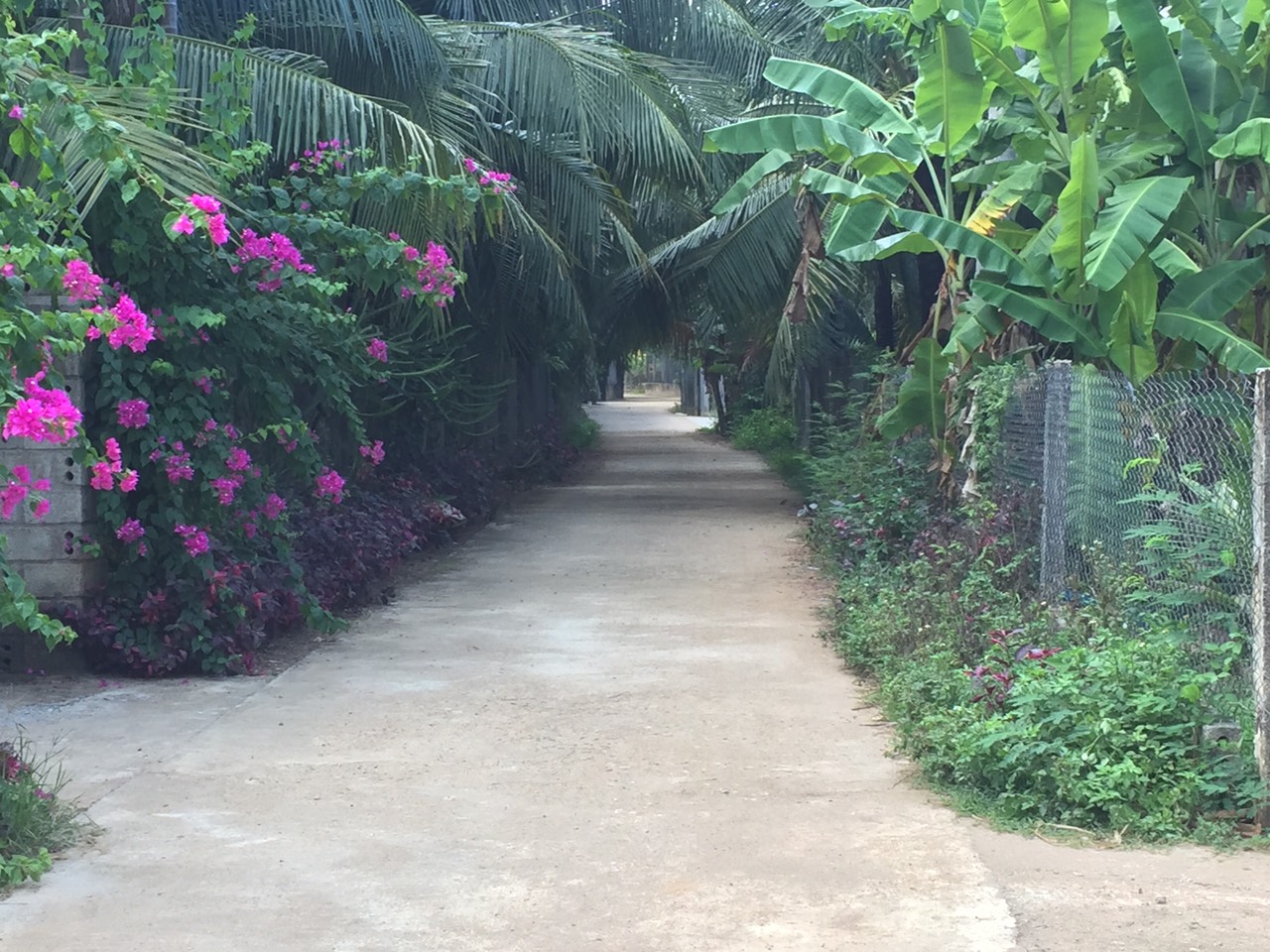 đất nền hoà trung hoài xuân